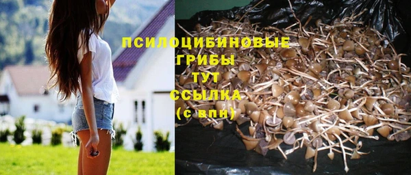 ешки Баксан